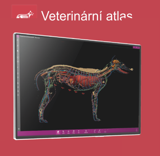 AthenaHUB-veterinární altas9